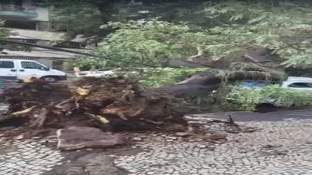 Defesa Civil do Rio envia alerta severo para ventos fortes e mantém cidade em Estágio 2